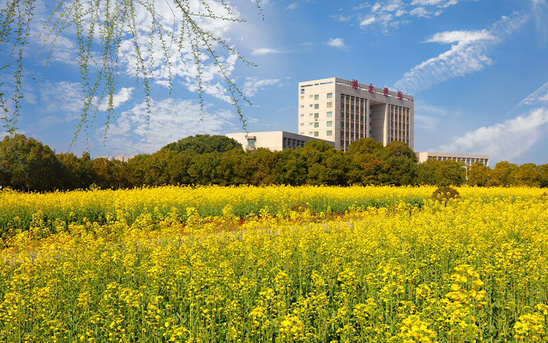 湖北城建职业技术学院图片