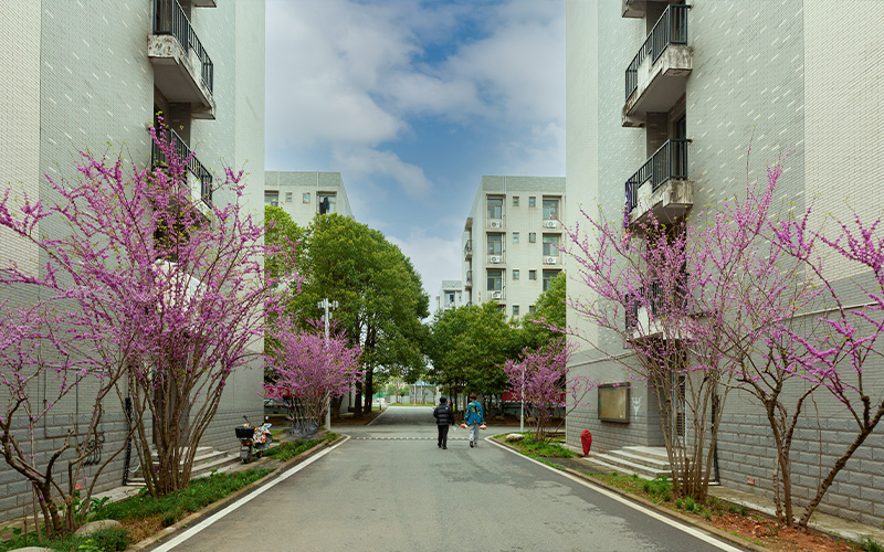 湖北城建职业技术学院图片